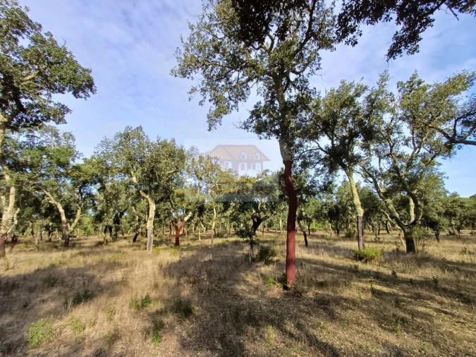 Terreno Misto para Venda em Grândola e Santa Margarida da Serra Foto 7