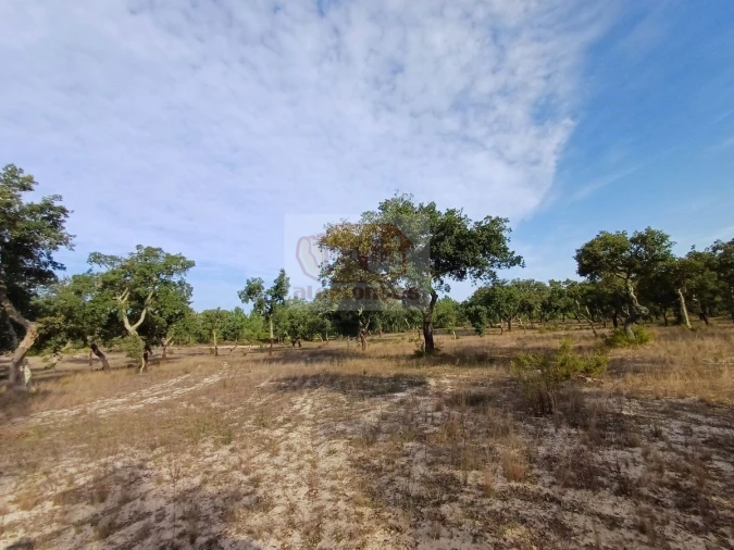 Terreno Misto para Venda em Grândola e Santa Margarida da Serra Foto 8