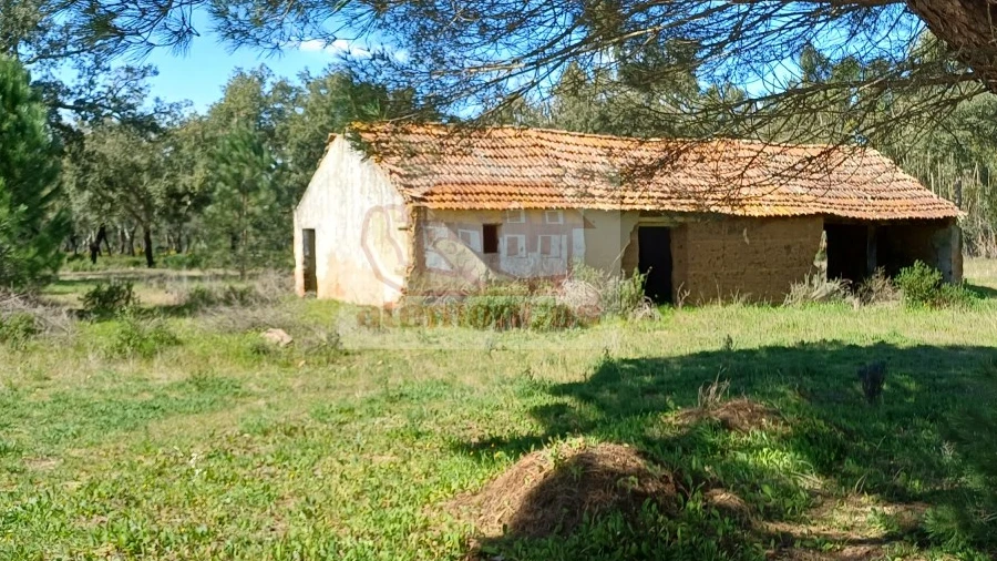 Terreno Misto para Venda em Grândola e Santa Margarida da Serra