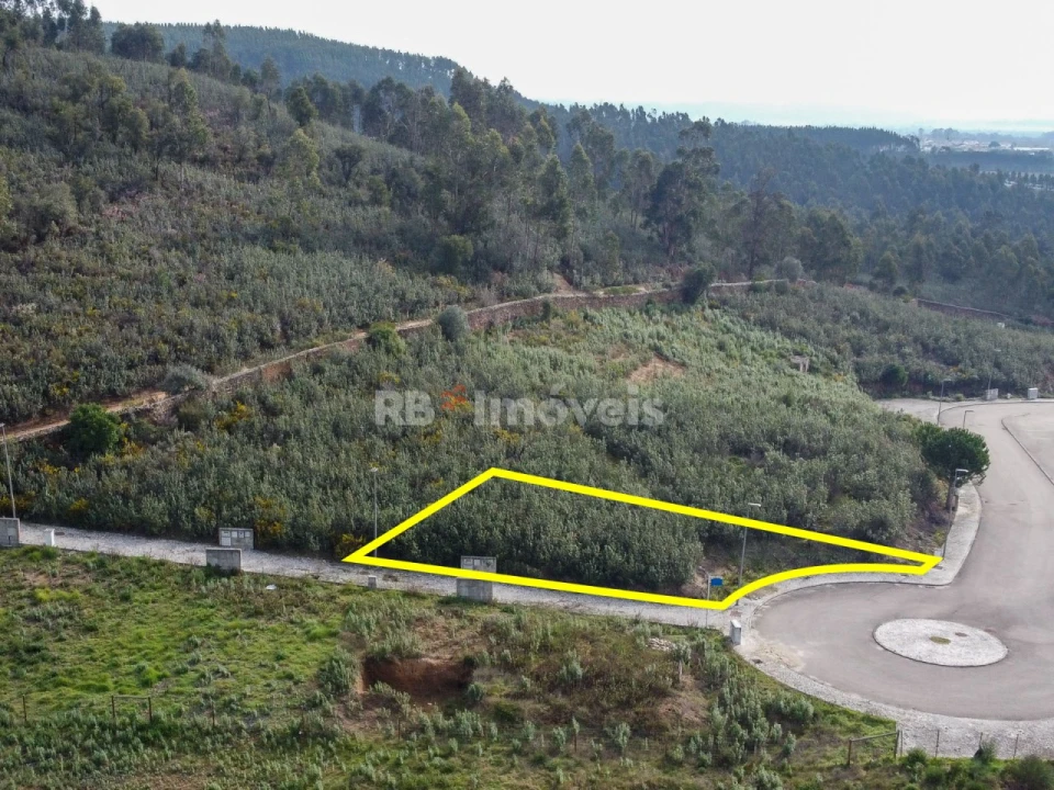 Terreno para Venda em Constancia Foto 4