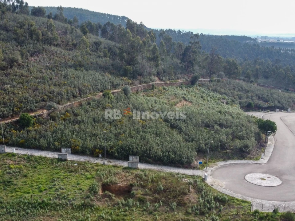 Terreno para Venda em Constancia Foto 7