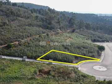 Terreno para Venda em Constancia