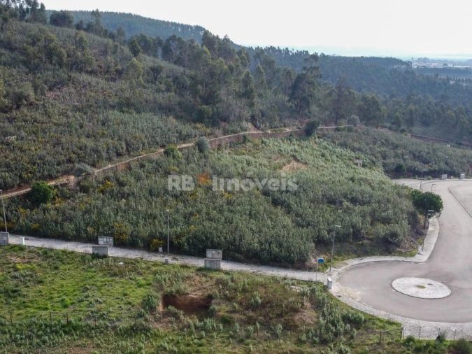 Terreno para Venda em Constancia Foto 7