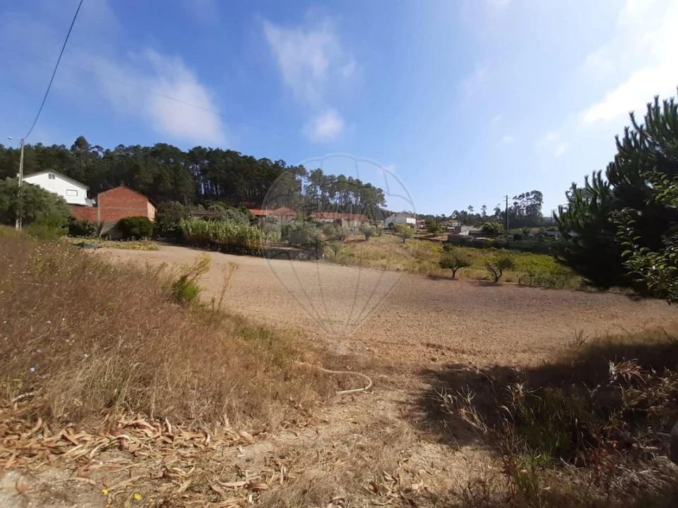 Terreno para Venda em Matas e Cercal Foto 7
