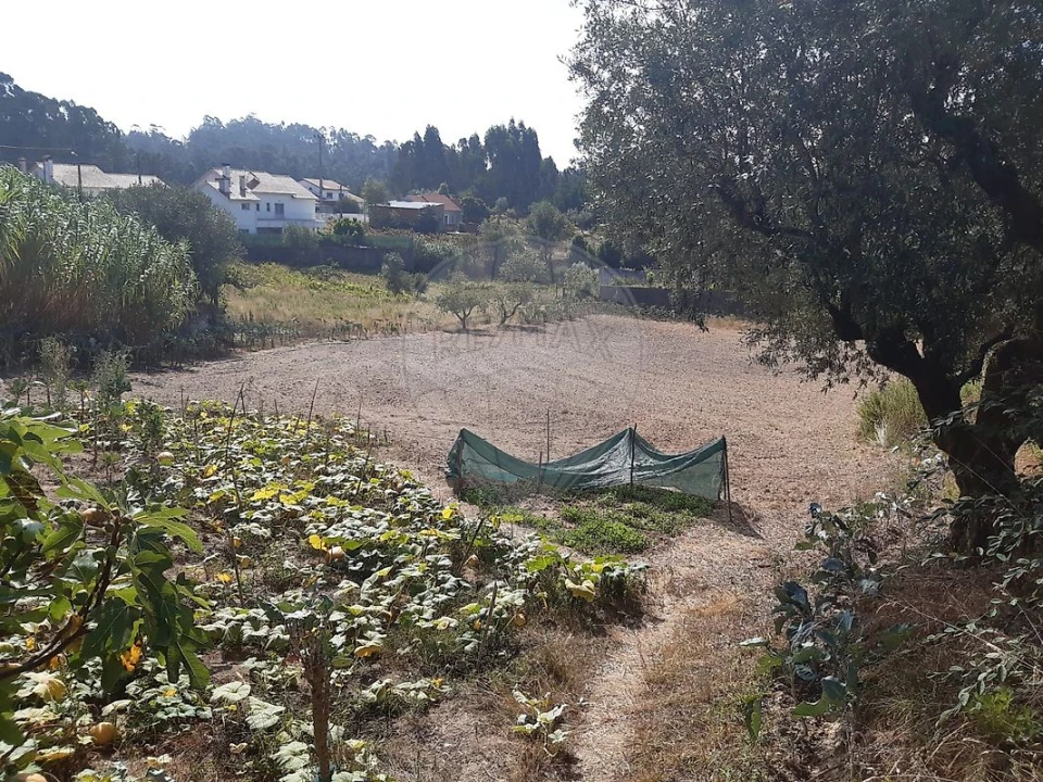 Terreno para Venda em Matas e Cercal Foto 6