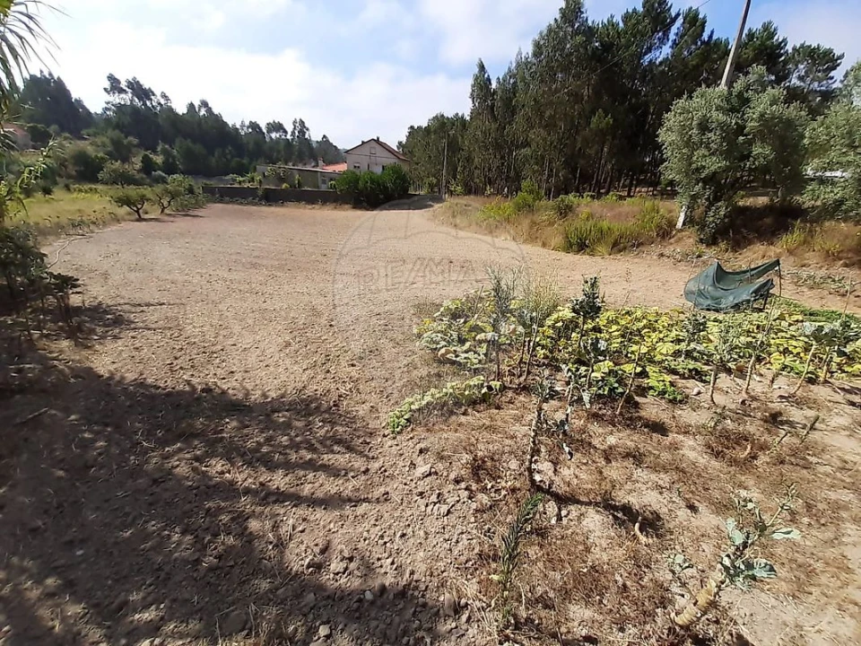 Terreno para Venda em Matas e Cercal Foto 3