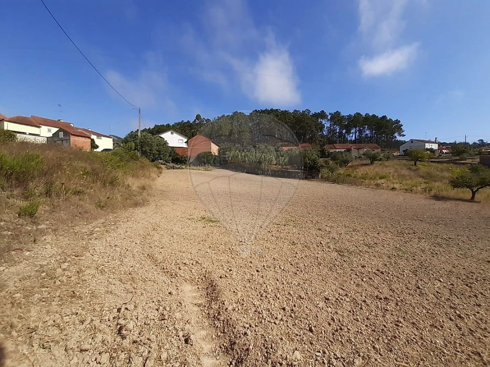 Terreno para Venda em Matas e Cercal Foto 2