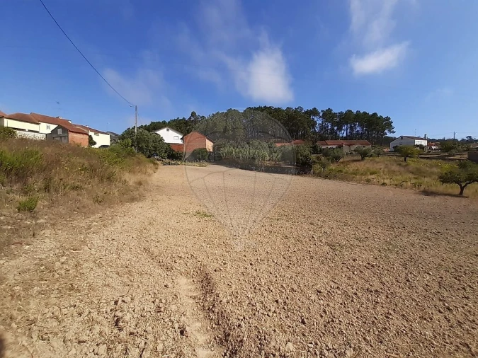 Terreno para Venda em Matas e Cercal Foto 2