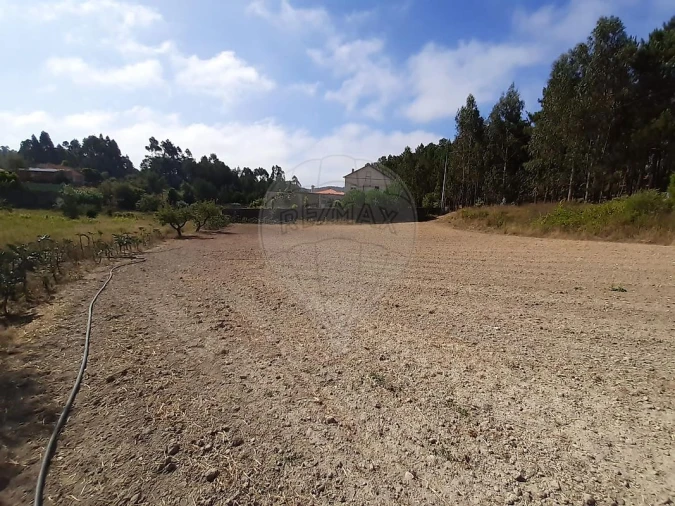 Terreno para Venda em Matas e Cercal Foto 5