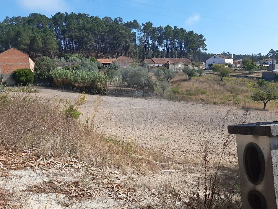 Terreno para Venda em Matas e Cercal Foto 4