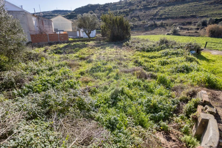 Terreno para Venda em Arranho Foto 2