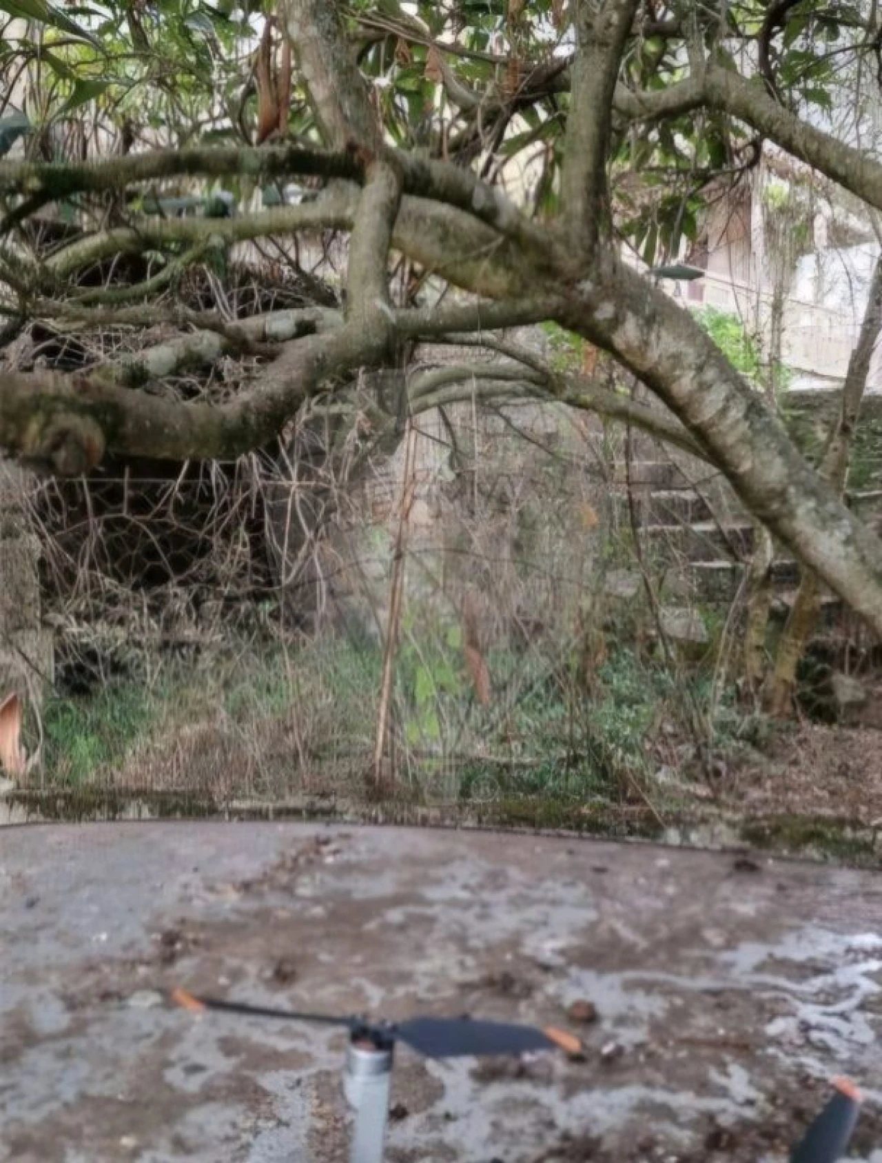 Moradia T4 para Venda em Travanca de Lagos Foto 9