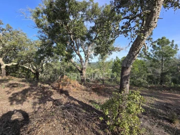 Terreno para Venda em Melides