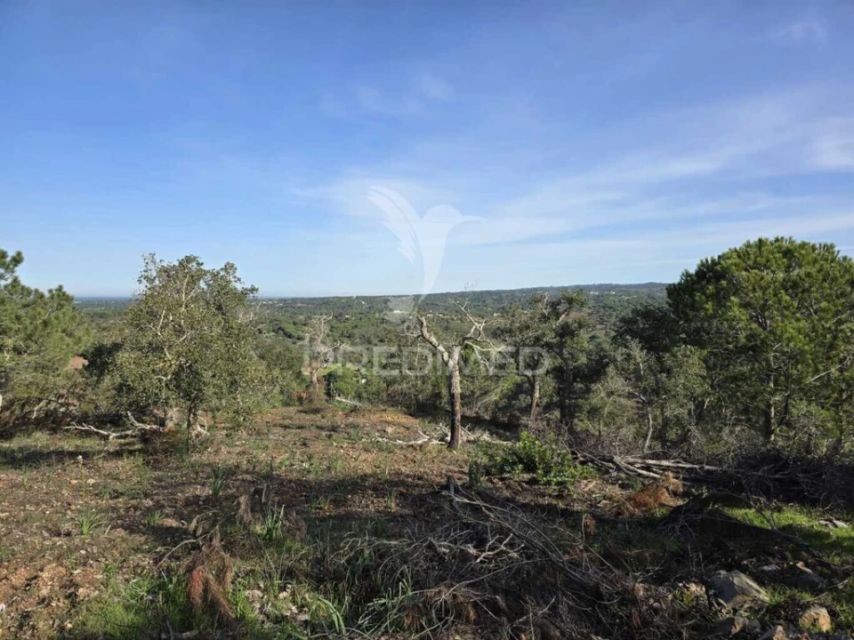 Terreno para Venda em Melides Foto 5