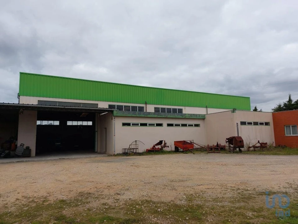 Loja para Venda em Cantanhede e Pocariça Foto 4