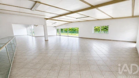 Loja para Venda em Cantanhede e Pocariça