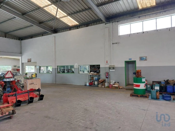 Loja para Venda em Cantanhede e Pocariça Foto 13