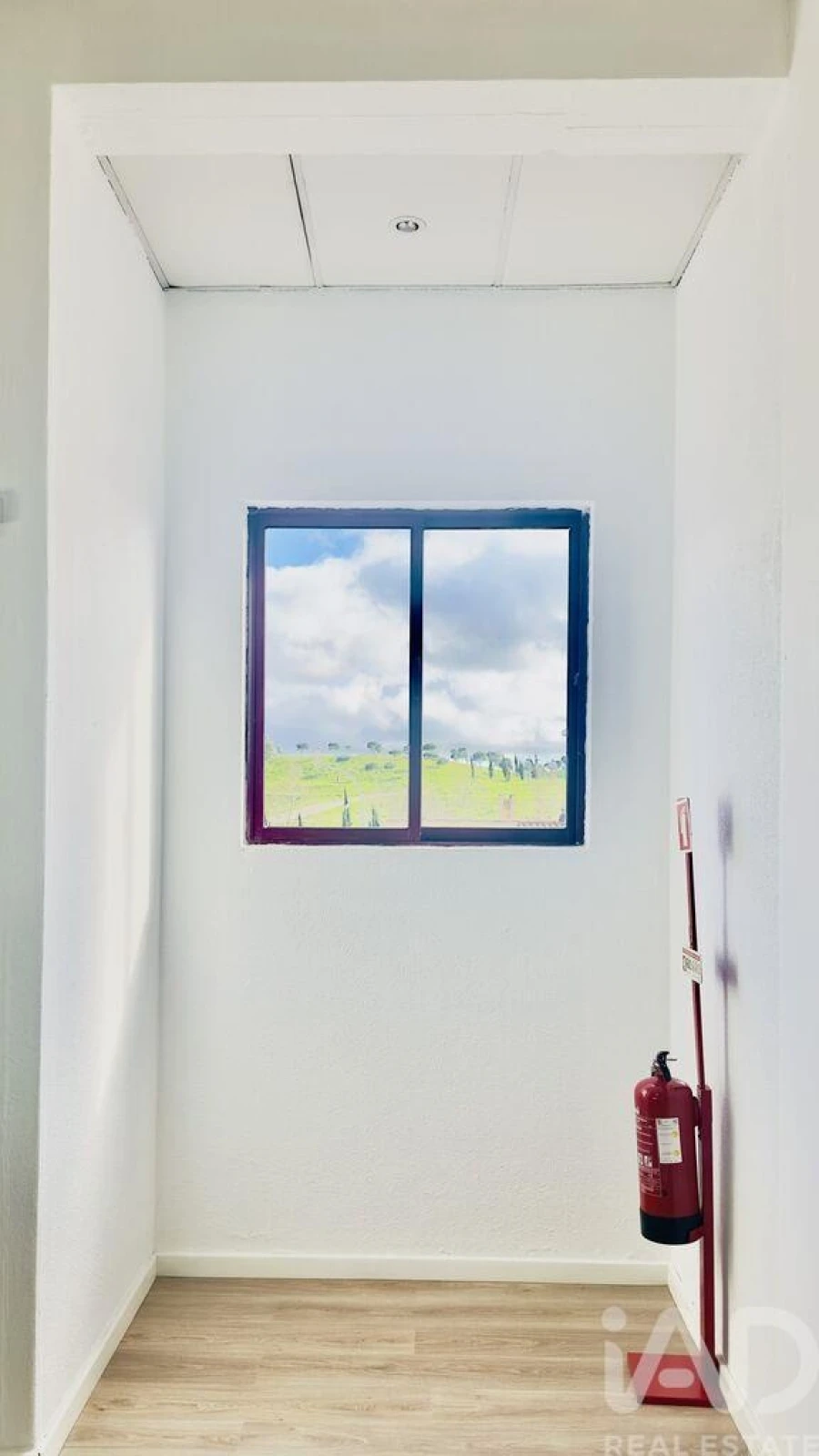 Escritório para Venda em Mina de Água Foto 16