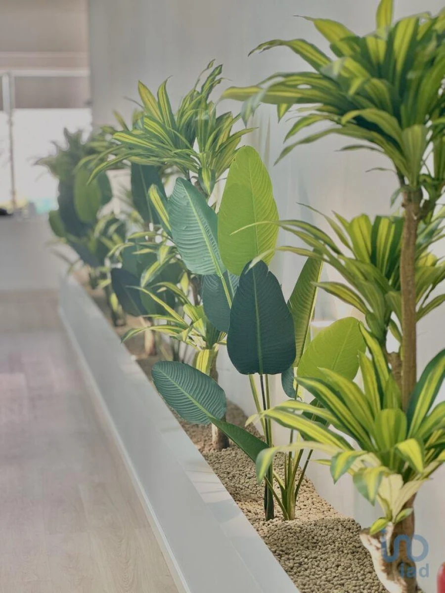 Escritório para Venda em Mina de Água Foto 8