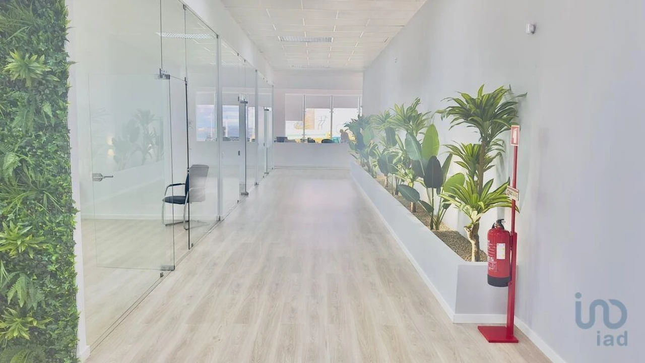 Escritório para Venda em Mina de Água Foto 6