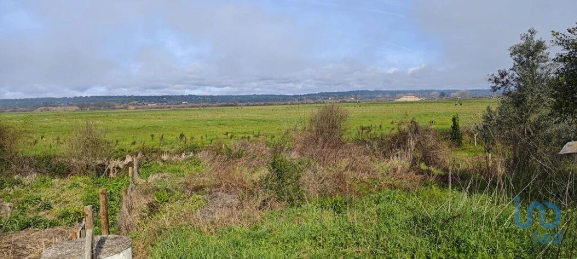 Terreno para Venda em Coruche, Fajarda e Erra Foto 9