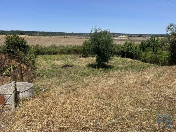Terreno para Venda em Coruche, Fajarda e Erra Foto 3