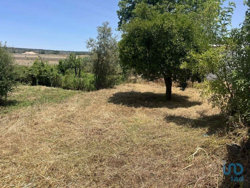 Terreno para Venda em Coruche, Fajarda e Erra Foto 2