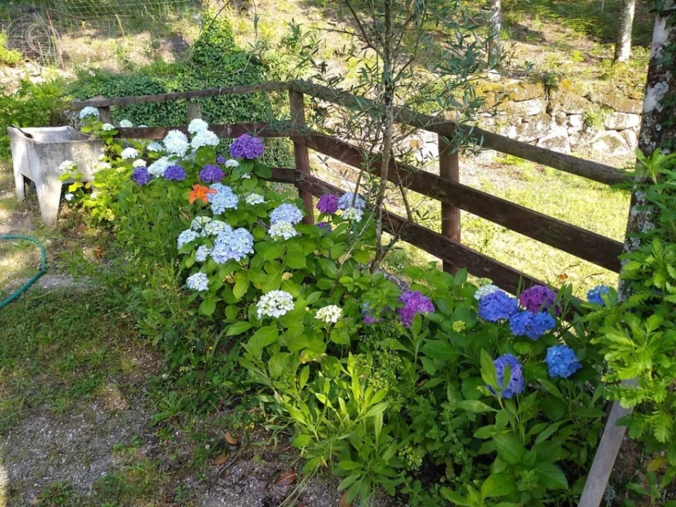 Quinta T3 para Venda em Mosteiro Foto 7