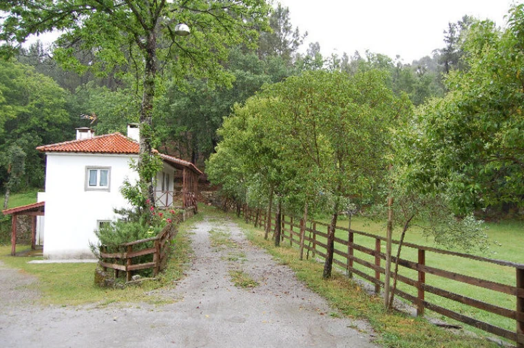 Quinta T3 para Venda em Mosteiro Foto 19