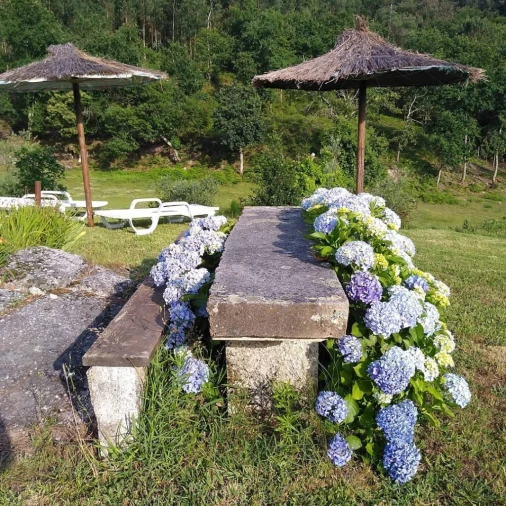 Quinta T3 para Venda em Mosteiro Foto 12