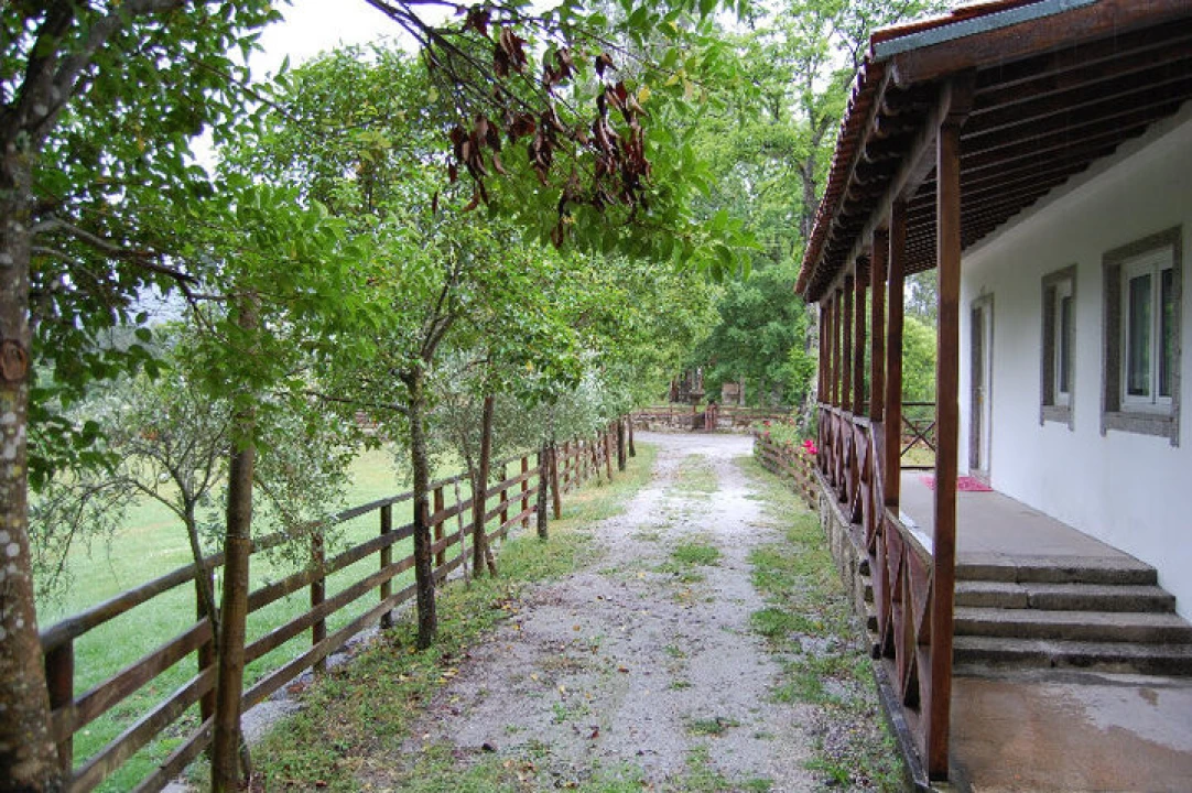 Quinta T3 para Venda em Mosteiro Foto 16