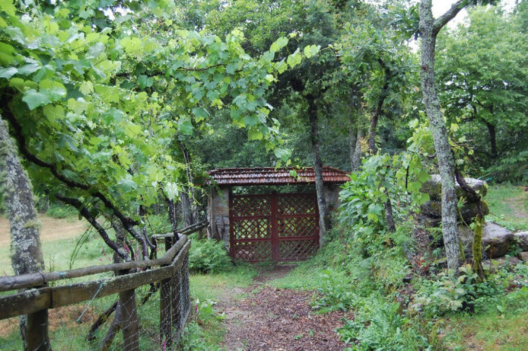 Quinta T3 para Venda em Mosteiro Foto 15