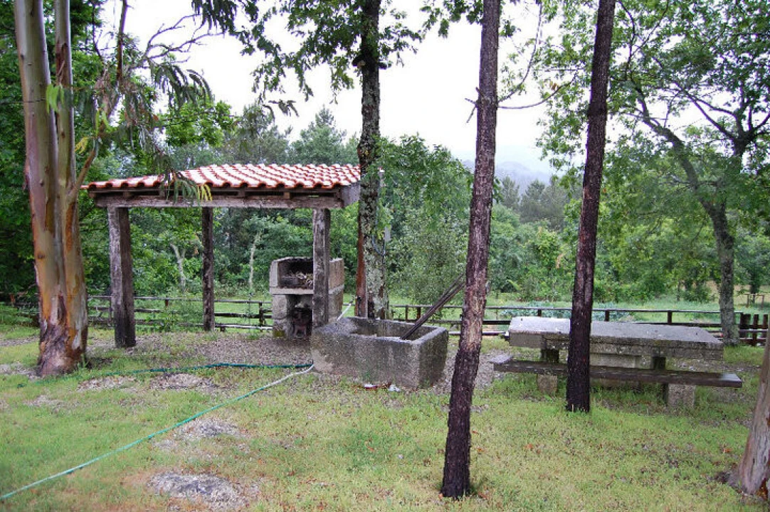 Quinta T3 para Venda em Mosteiro Foto 14