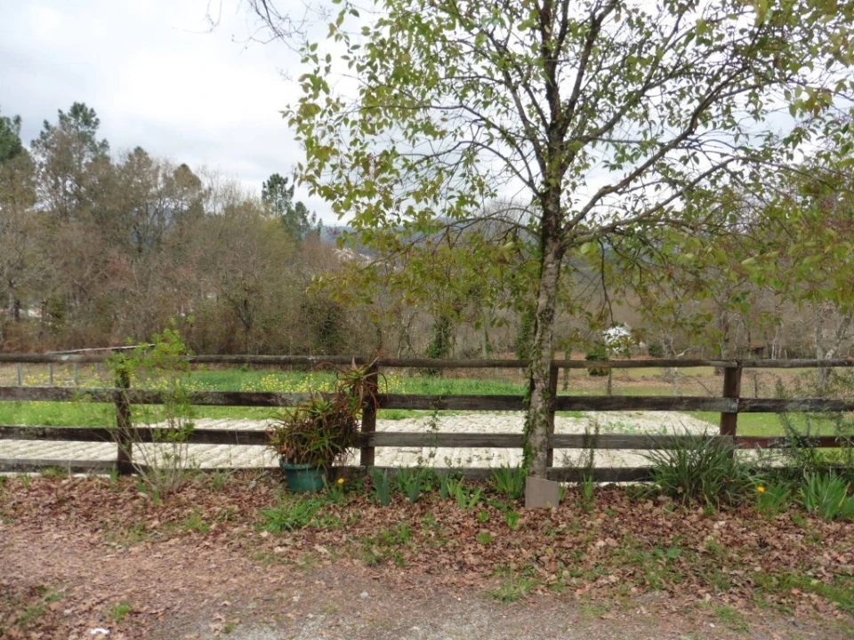 Quinta T3 para Venda em Mosteiro Foto 21