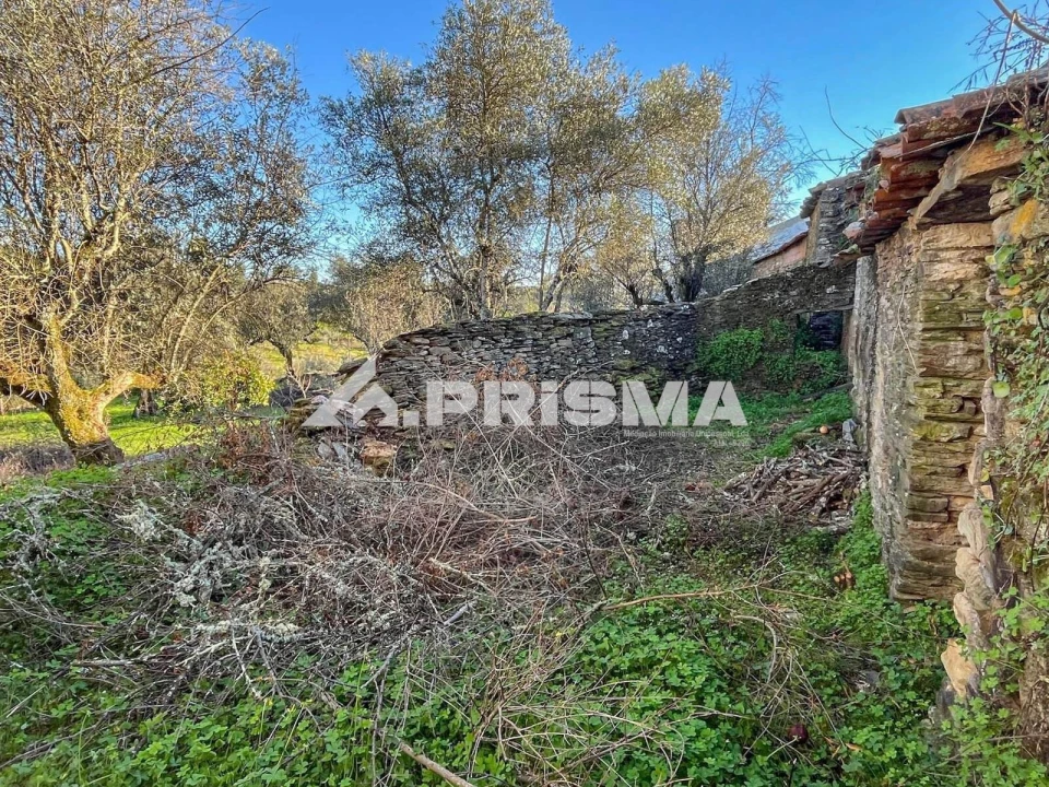 Moradia T4 para Venda em Sarnadas de Rodão Foto 11