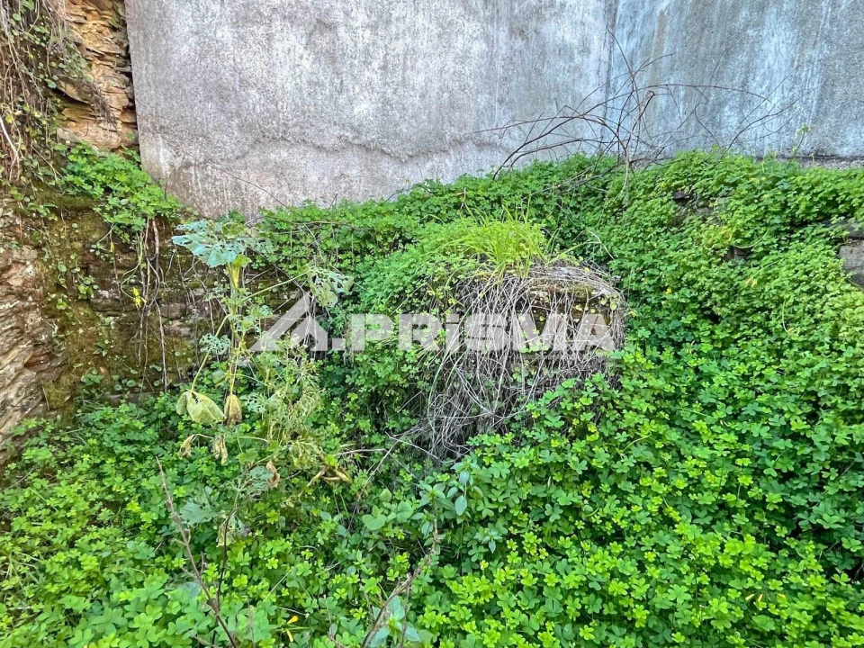 Moradia T4 para Venda em Sarnadas de Rodão Foto 12