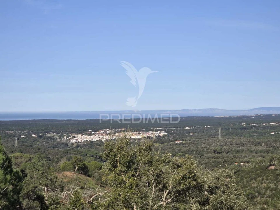 Terreno para Venda em Melides Foto 3