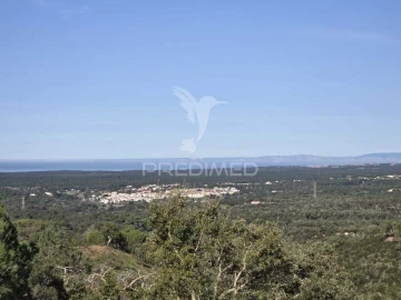 Terreno para Venda em Melides