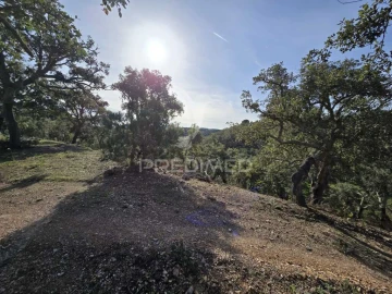 Terreno para Venda em Melides