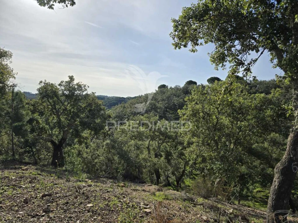 Terreno para Venda em Melides Foto 10