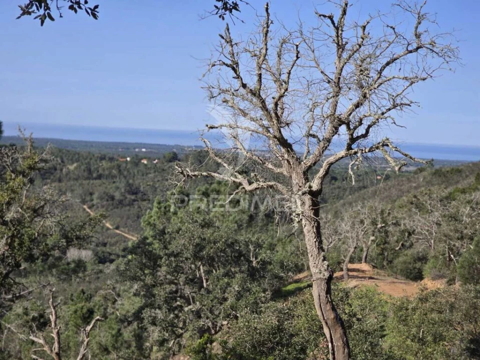 Terreno para Venda em Melides Foto 18