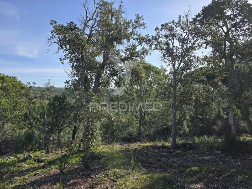 Terreno para Venda em Melides Foto 4