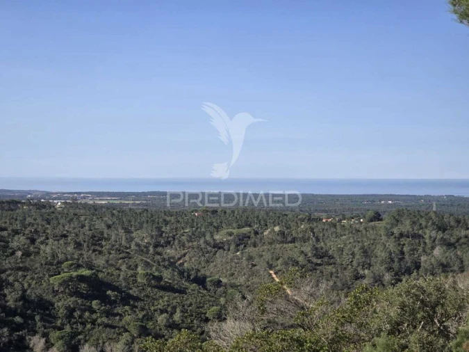 Terreno para Venda em Melides Foto 19