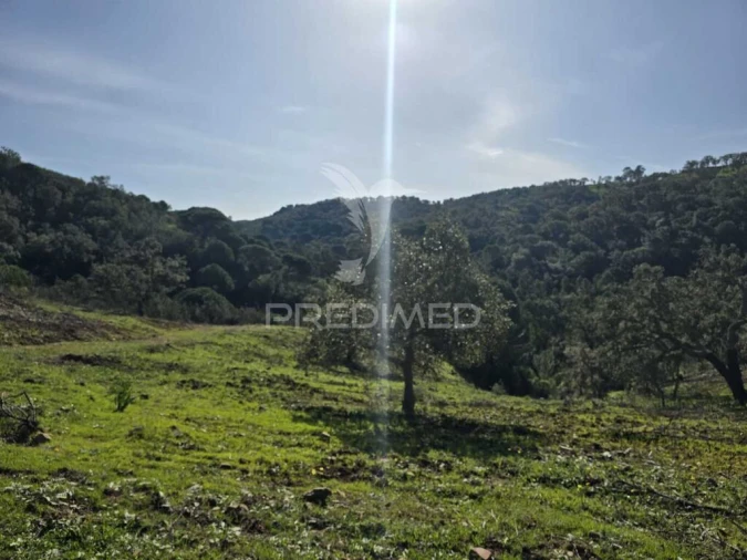 Terreno para Venda em Melides Foto 13