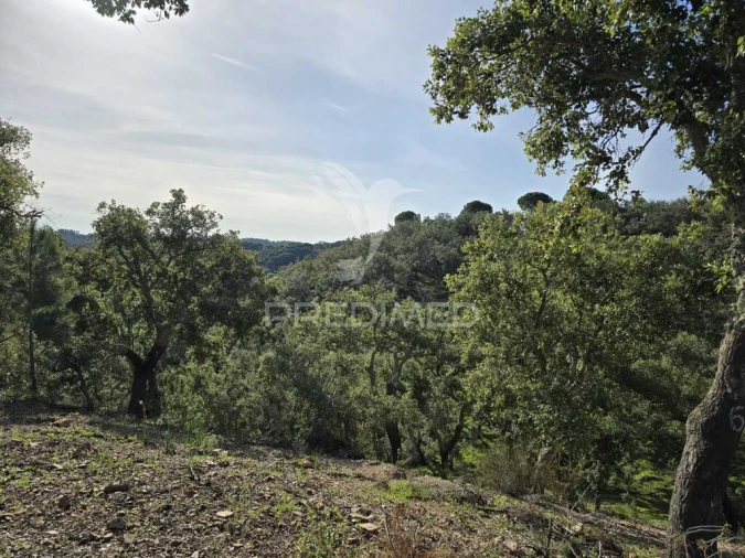 Terreno para Venda em Melides Foto 10