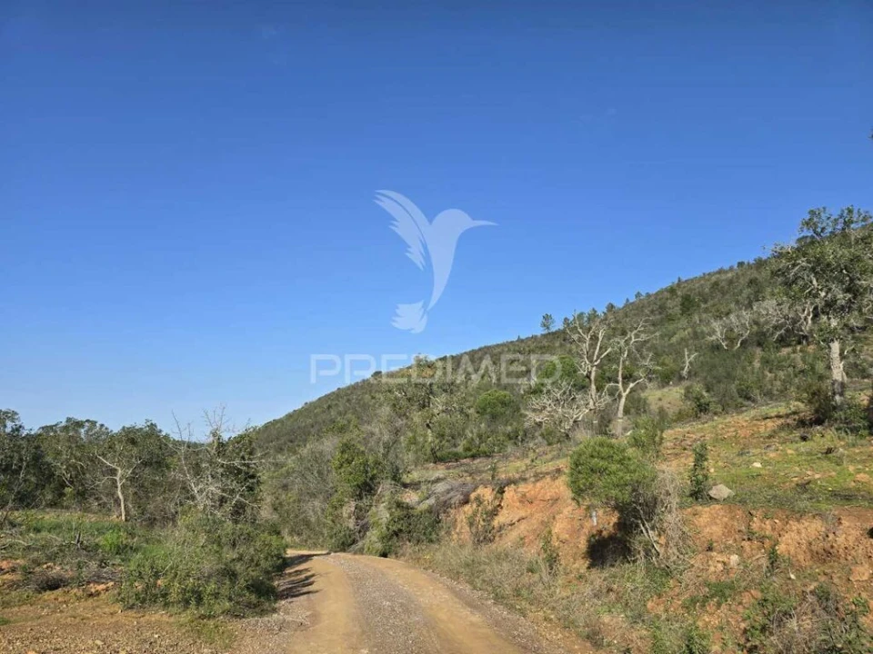 Terreno para Venda em Melides Foto 14