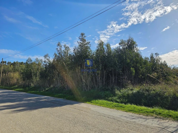 Terreno para Venda em Reguengo Grande Foto 9