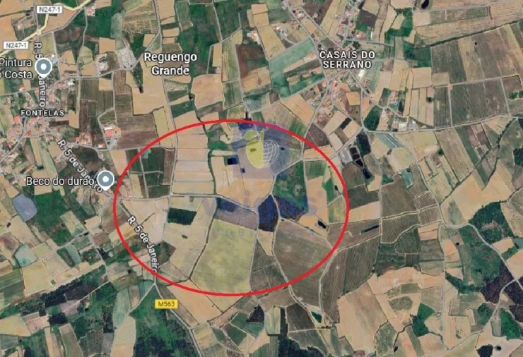 Terreno para Venda em Reguengo Grande Foto 10