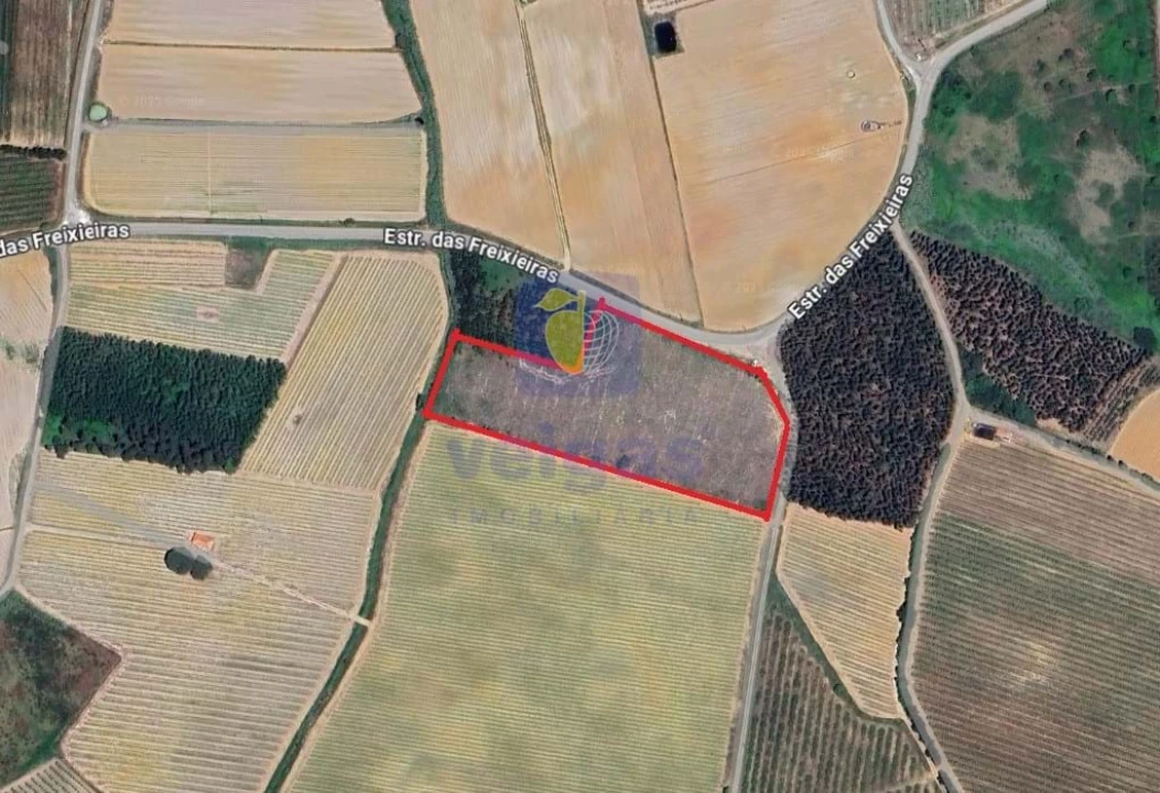 Terreno para Venda em Reguengo Grande Foto 1