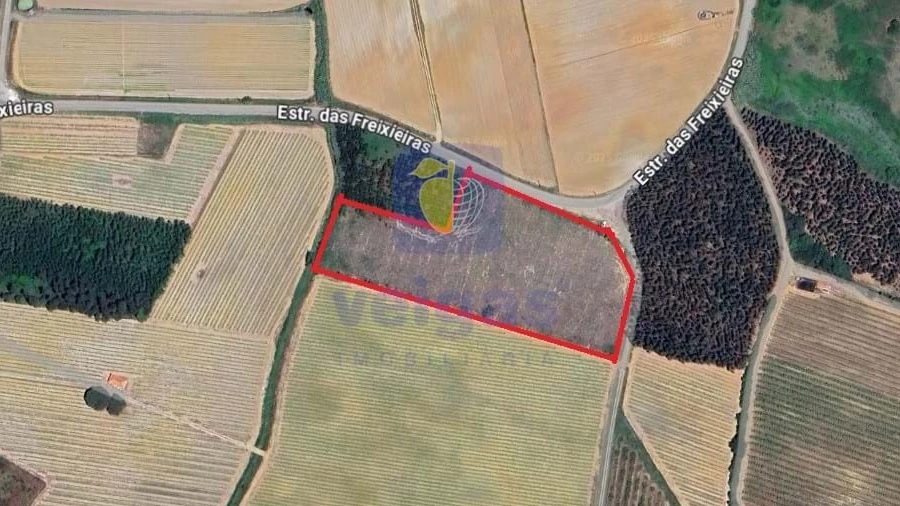 Terreno para Venda em Reguengo Grande